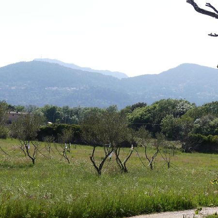 Le Charme D'Une Vieille Bastide Provencale Solliès-Pont Екстериор снимка