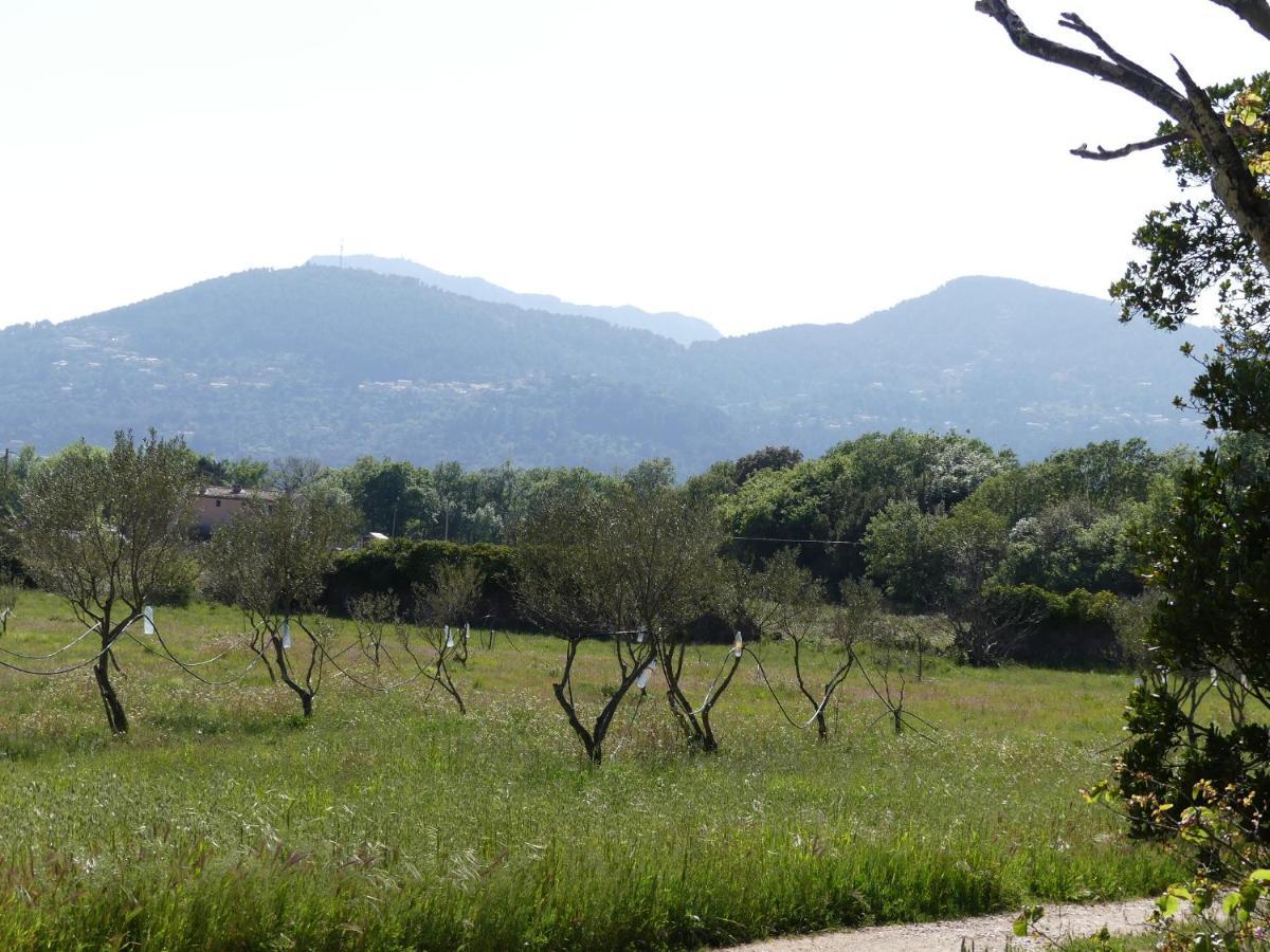Le Charme D'Une Vieille Bastide Provencale Solliès-Pont Екстериор снимка