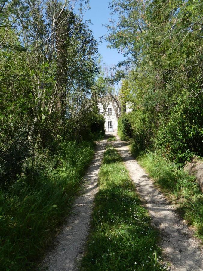Le Charme D'Une Vieille Bastide Provencale Solliès-Pont Екстериор снимка