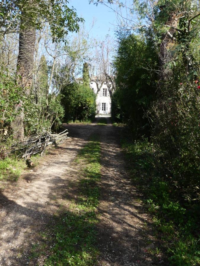 Le Charme D'Une Vieille Bastide Provencale Solliès-Pont Екстериор снимка